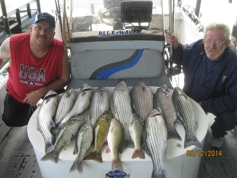 Nice Striped Bass